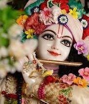 Krishna banner
